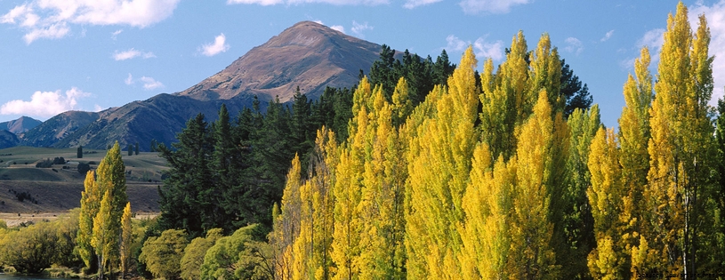 Cover_FB_ Lake Wanaka, South Island, New Zealand.jpg