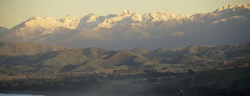 Cover_FB_ Sheep Resting Upon the Rolling Hillside, Kaikura, South Island, New Zealand.jpg