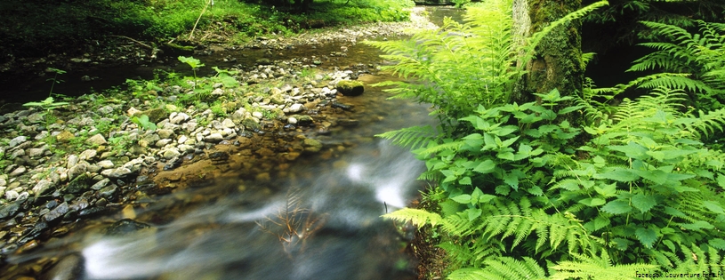 Cover_FB_ Polenz, Sachsische Schweiz National Park, Germany.jpg