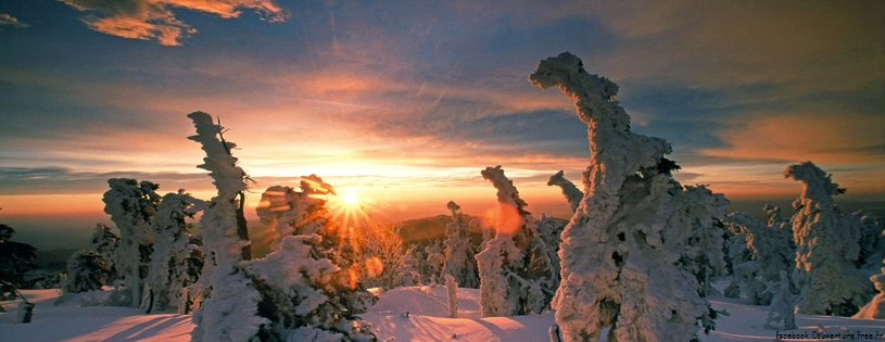 Cover FB  Snow-Covered Trees, Hochharz National Park, Saxony-Anhalt, Germany