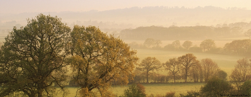 Cover FB  Dawn at Staunton Caundle, Dorset, England