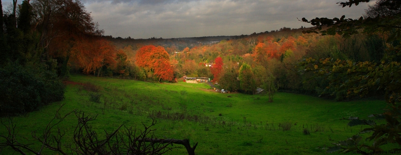 Cover FB  Peeking Through the Trees, Near Merstham, Surrey, England