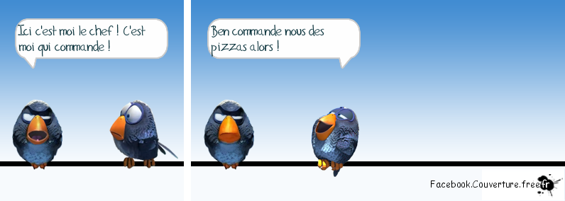 Humour - le chef - Facebook.couverture.png