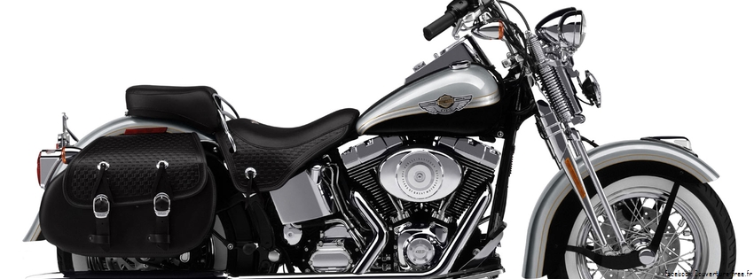 Cover FB  H-D FXSTC Softail Custom 2008 07 850x315