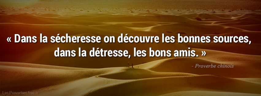 Dans la sécheresse on découvre - Proverbes chinois.jpg