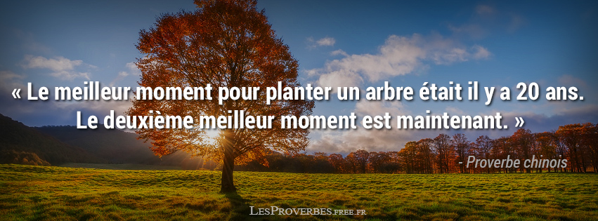 Le meilleur moment pour planter Proverbe Chinois.jpg