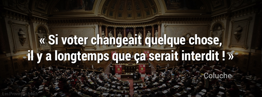 Si voter changeait quelque chose...jpg