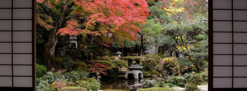 Jardin japonais.jpg