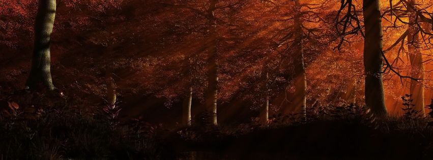 Forêt FB Cover HD (7).jpg