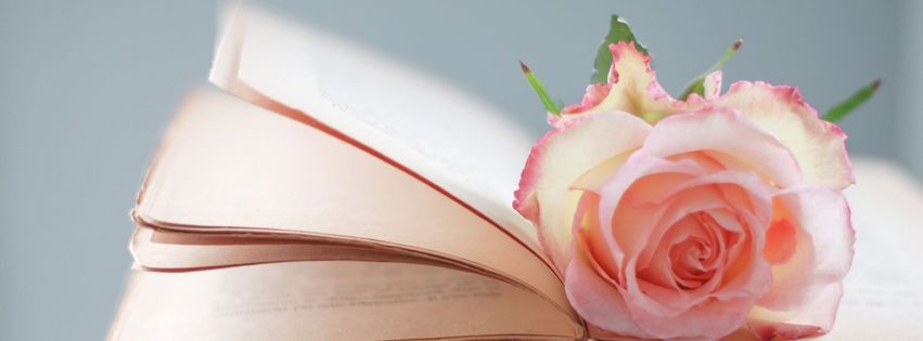 Rose sur des livres