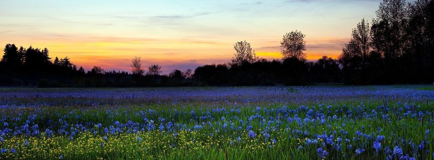 Coucher de soleil au printemps - 851x315.jpg